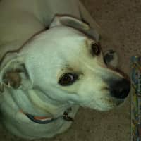 Christi T.'s profile image