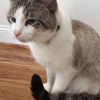 Winston L.'s profile image