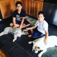 Martin & Luis S.'s profile image
