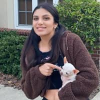 Sophia T.'s profile image