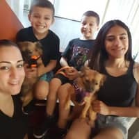 Lourdes & Jairo P.'s profile image