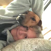 Jodi K.'s profile image