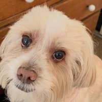 Teka S.'s profile image