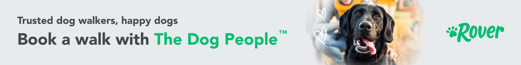 certified dog walker